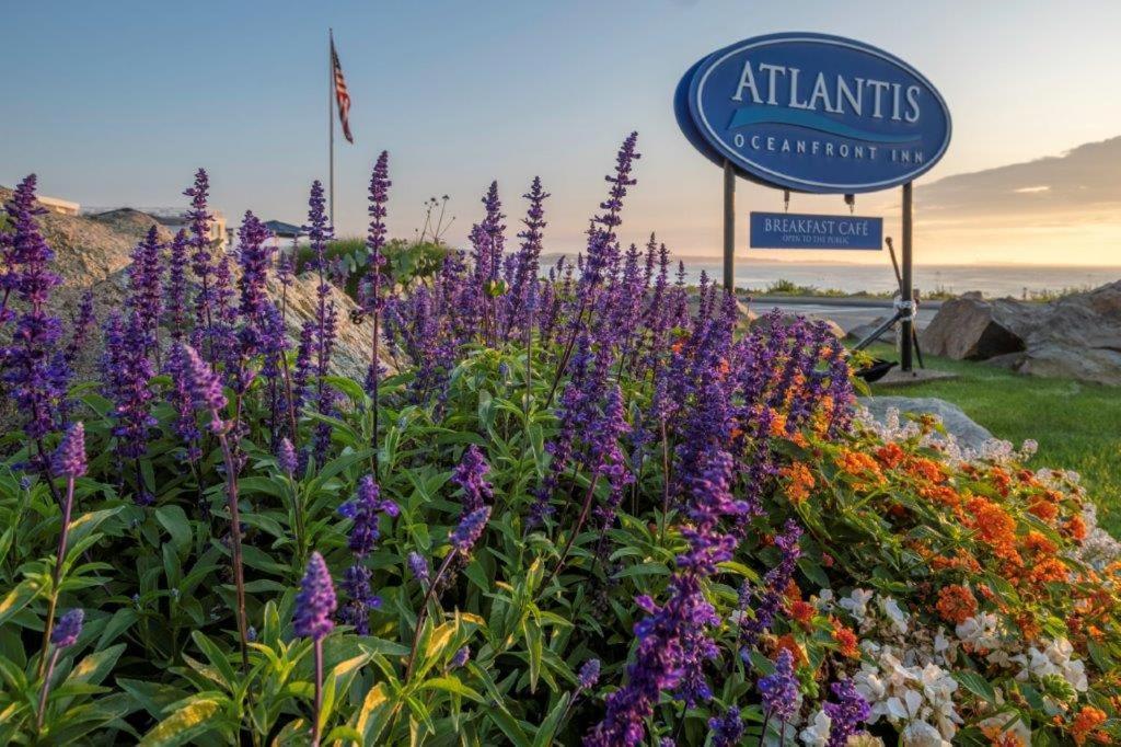 Atlantis Oceanfront Inn Gloucester Exterior foto